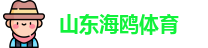 山东海鸥体育
